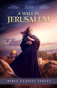  A Wall in Jerusalem Poster