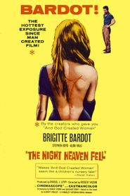  The Night Heaven Fell Poster