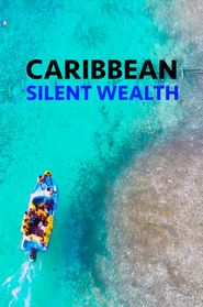  Caribbean: Silent Wealth Poster