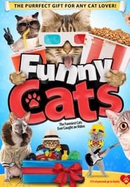  Funny Cats Poster