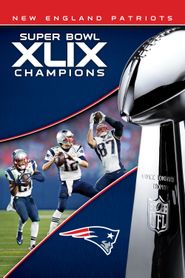  Super Bowl XLIX Poster