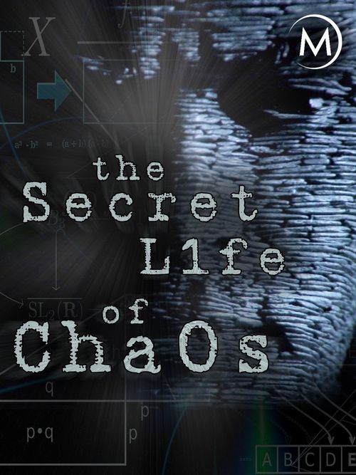 The Secret Life of Chaos Poster
