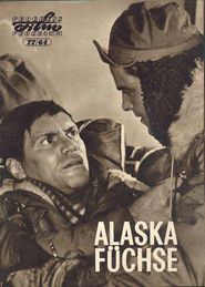  Alaska - Foxes Poster