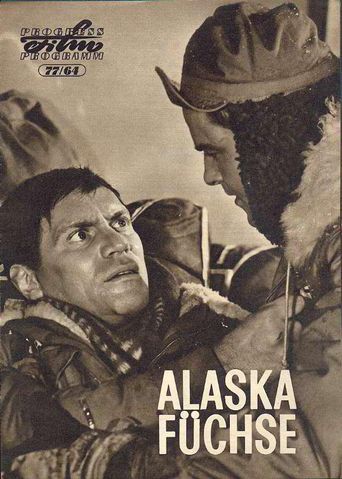  Alaska - Foxes Poster
