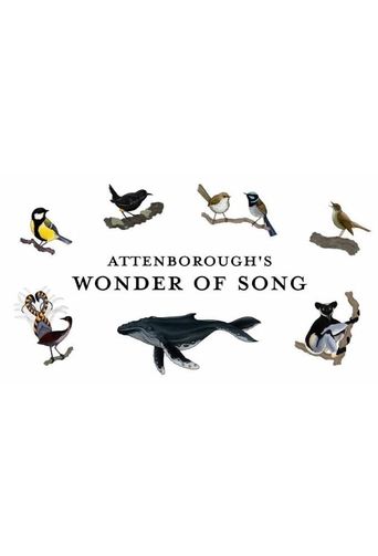  Attenborough's Wonder of Song Poster