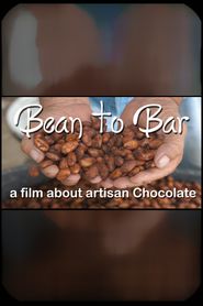  Bean to Bar, a Film About Artisan Chocolate Poster