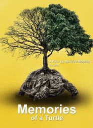  Memories of a Turtle Poster