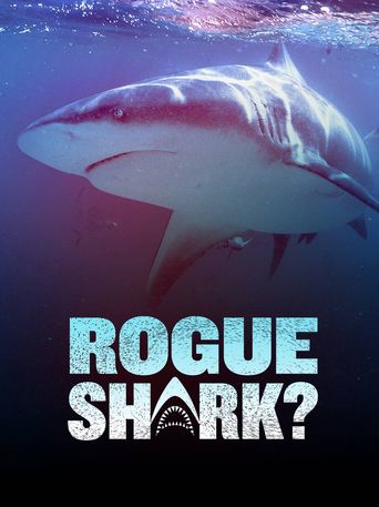  Rogue Shark? Poster