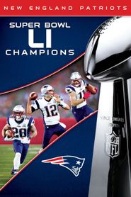  NFL Super Bowl LI Champions New England Patriots Poster
