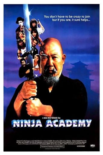  Ninja Academy Poster