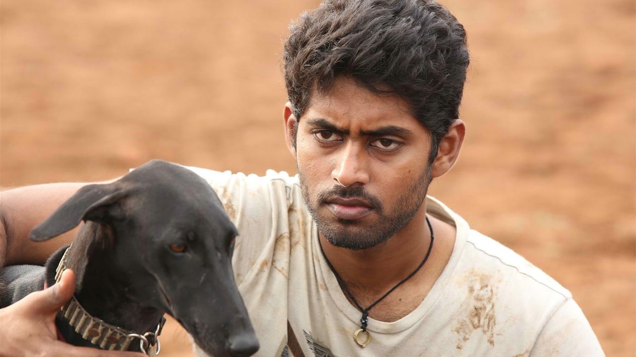 Pariyerum perumal sale watch online