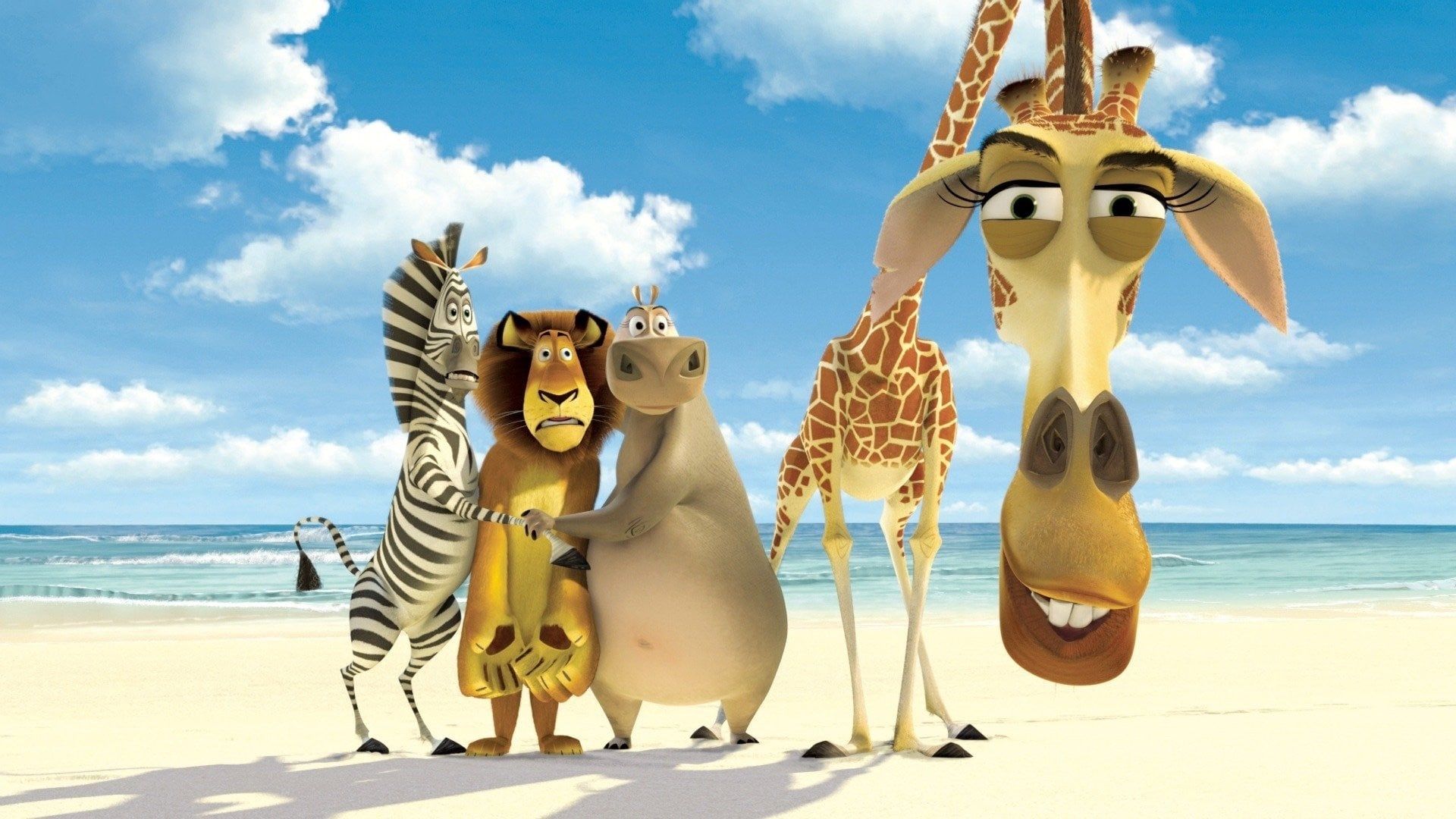 Madagascar Backdrop