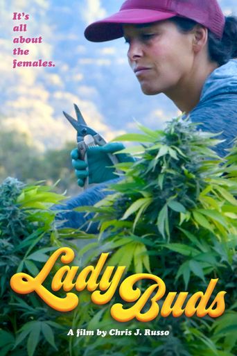  Lady Buds Poster