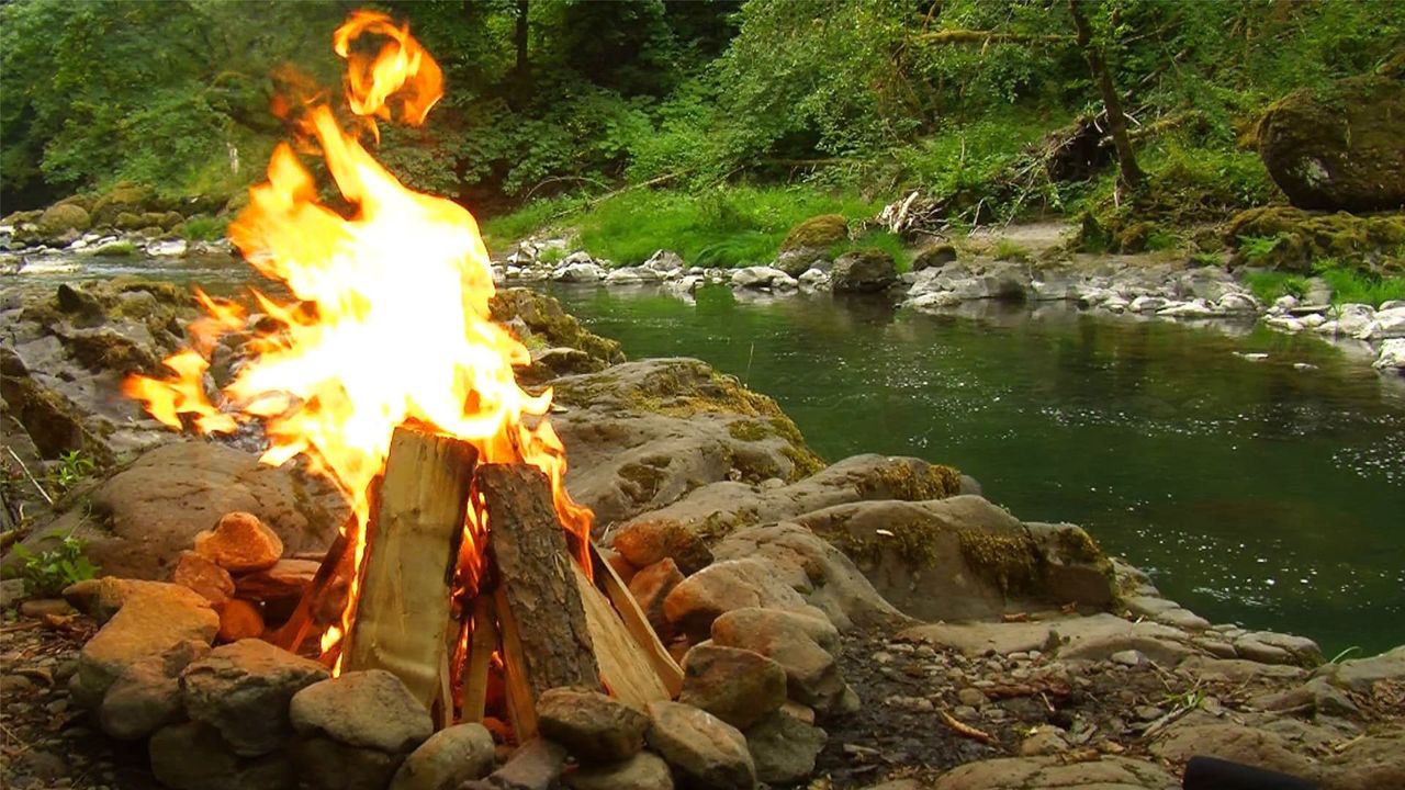 Campfire for Your Home : Daytime by the River With Music Backdrop