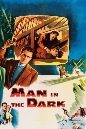  Man in the Dark Poster