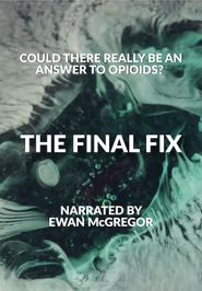  The Final Fix Poster