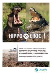 Hippo vs Croc Poster
