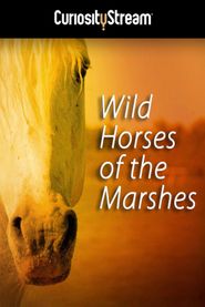  Wild Horses of the Marshes Poster
