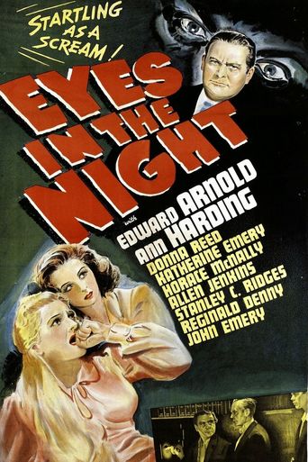  Eyes in the Night Poster