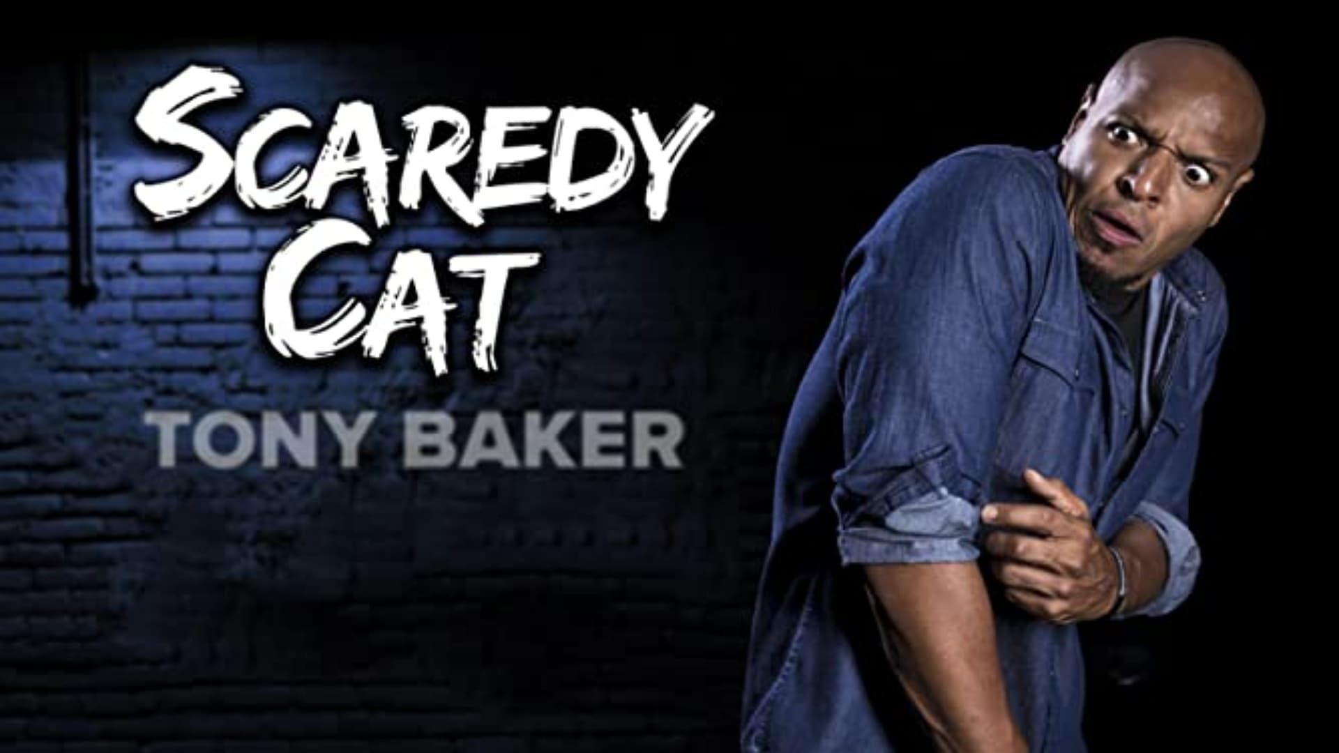 Scaredy Cats: Where to Watch and Stream Online