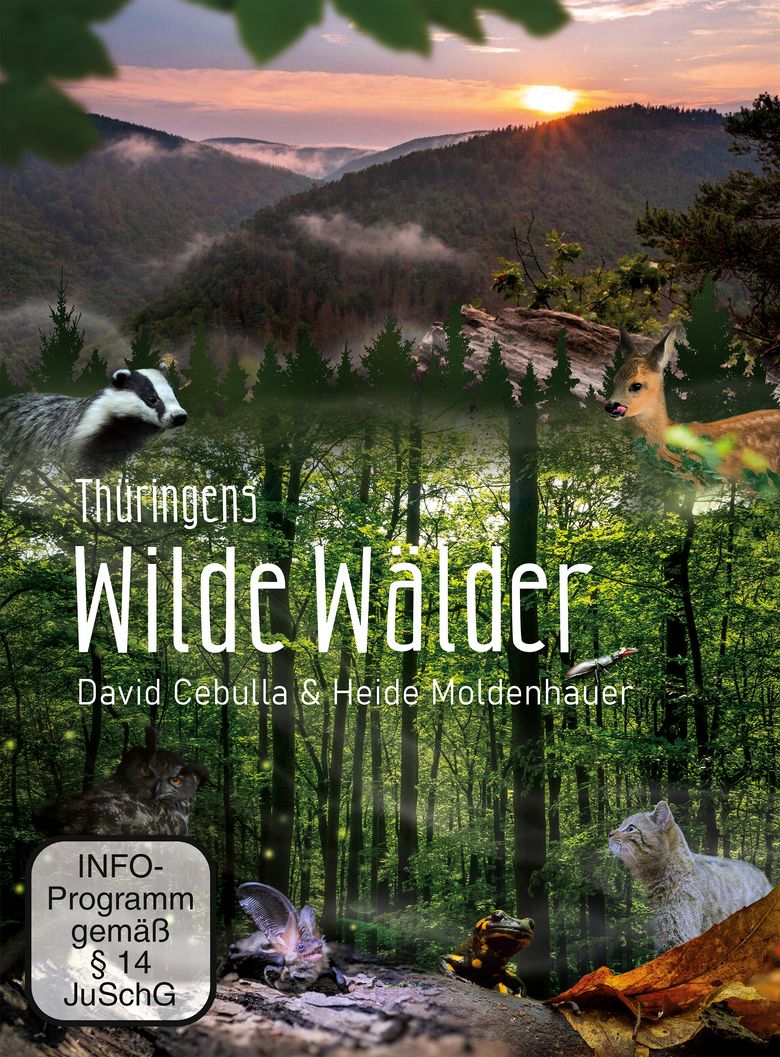 Wilde Wälder