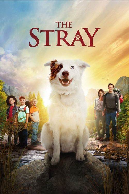 The Stray Poster
