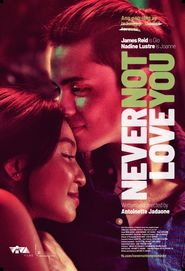  Never Not Love You Poster