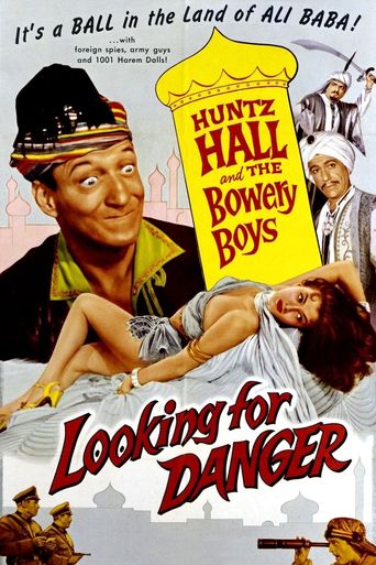 Looking for Danger Poster