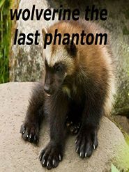  Wolverine: The Last Phantom Poster