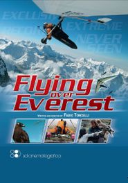  Flying over Everest Poster