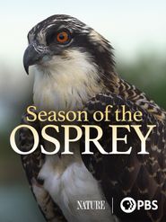 Season of the Osprey Poster