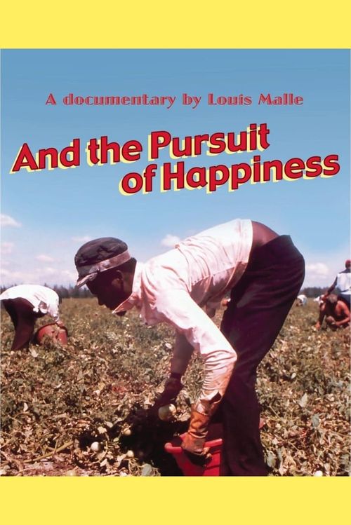 ...And the Pursuit of Happiness Poster