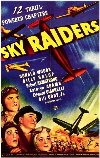  Sky Raiders Poster