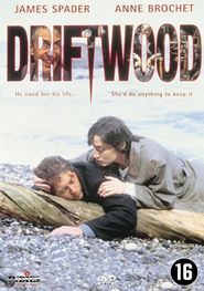  Driftwood Poster