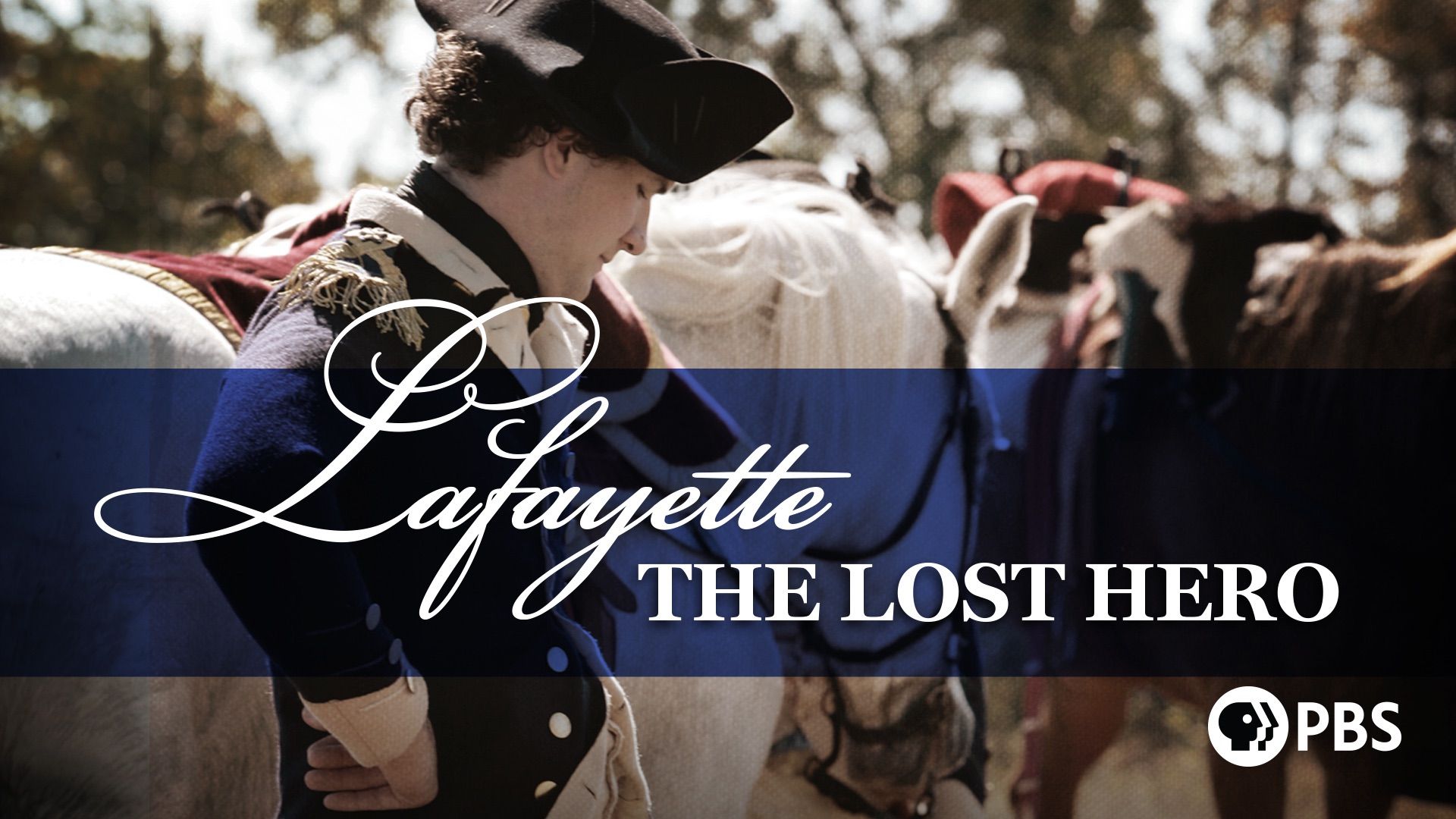 Lafayette: The Lost Hero Backdrop