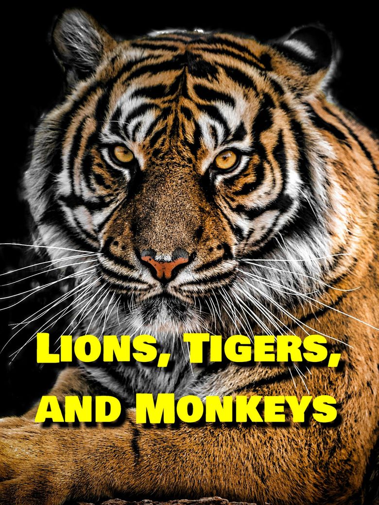 Lions, Tigers, and Monkeys