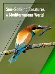  Sun-Seeking Creatures - A Mediterranean World Poster