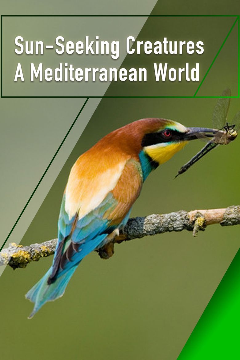 Sun-Seeking Creatures - A Mediterranean World
