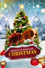  Project: Puppies for Christmas Poster