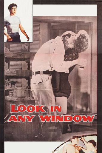  Look in Any Window Poster
