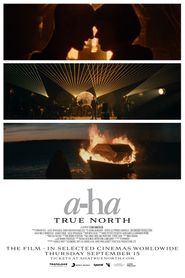  a-ha: True North Poster