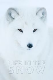  Life in the Snow Poster