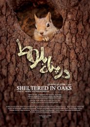  Sheltered in Oak Poster