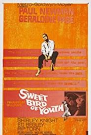  Sweet Bird of Youth Poster