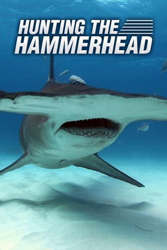  Hunting the Hammerhead Poster