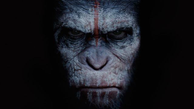 Dawn of the Planet of the Apes Backdrop