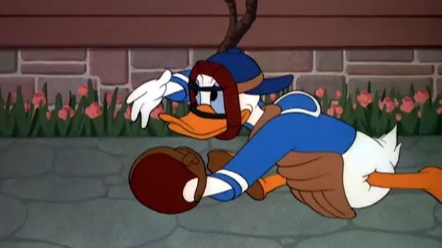 Slide Donald Slide Backdrop