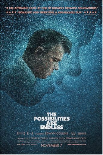  The Possibilities Are Endless Poster