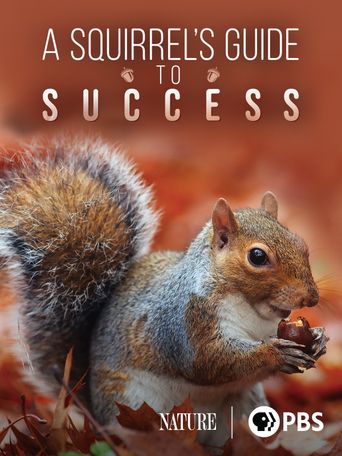  A Squirrel's Guide to Success Poster