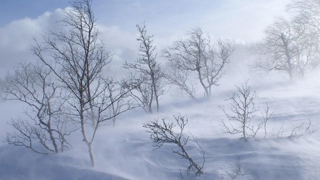 Absolute Zero Backdrop